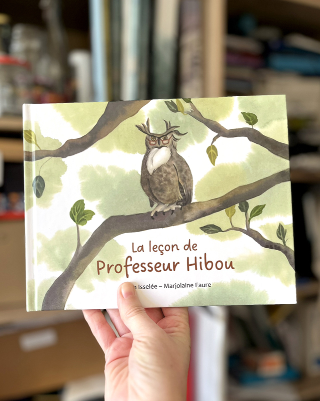 Couverture du livre pour enfant ,La leçon de Professeur Hibou, illustré par Marjolaine Faure