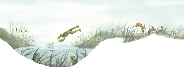 aquarelle d'une rivière et de grenouilles pour illustrée l'histoire d'enfant, la leçon de professeur hibou